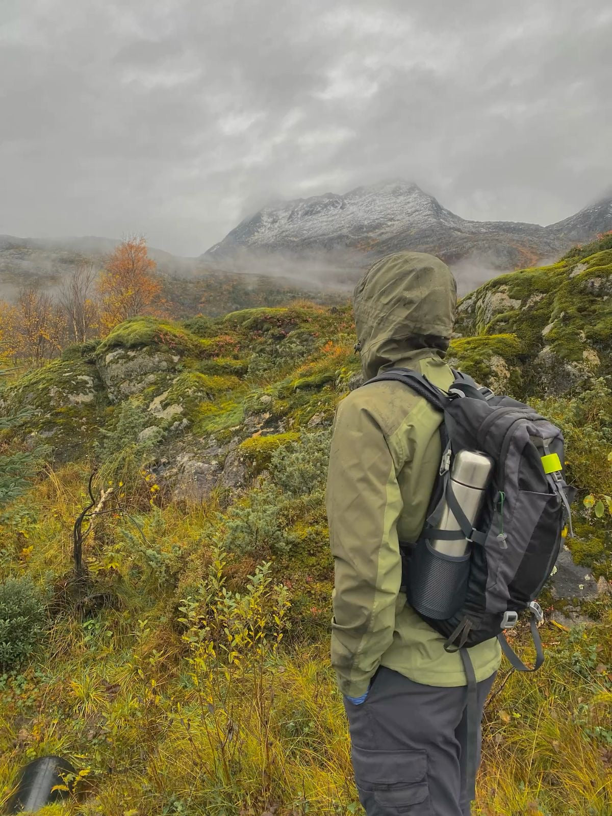 Complete Backpacking Gear Guide: Trail-Tested Essentials
