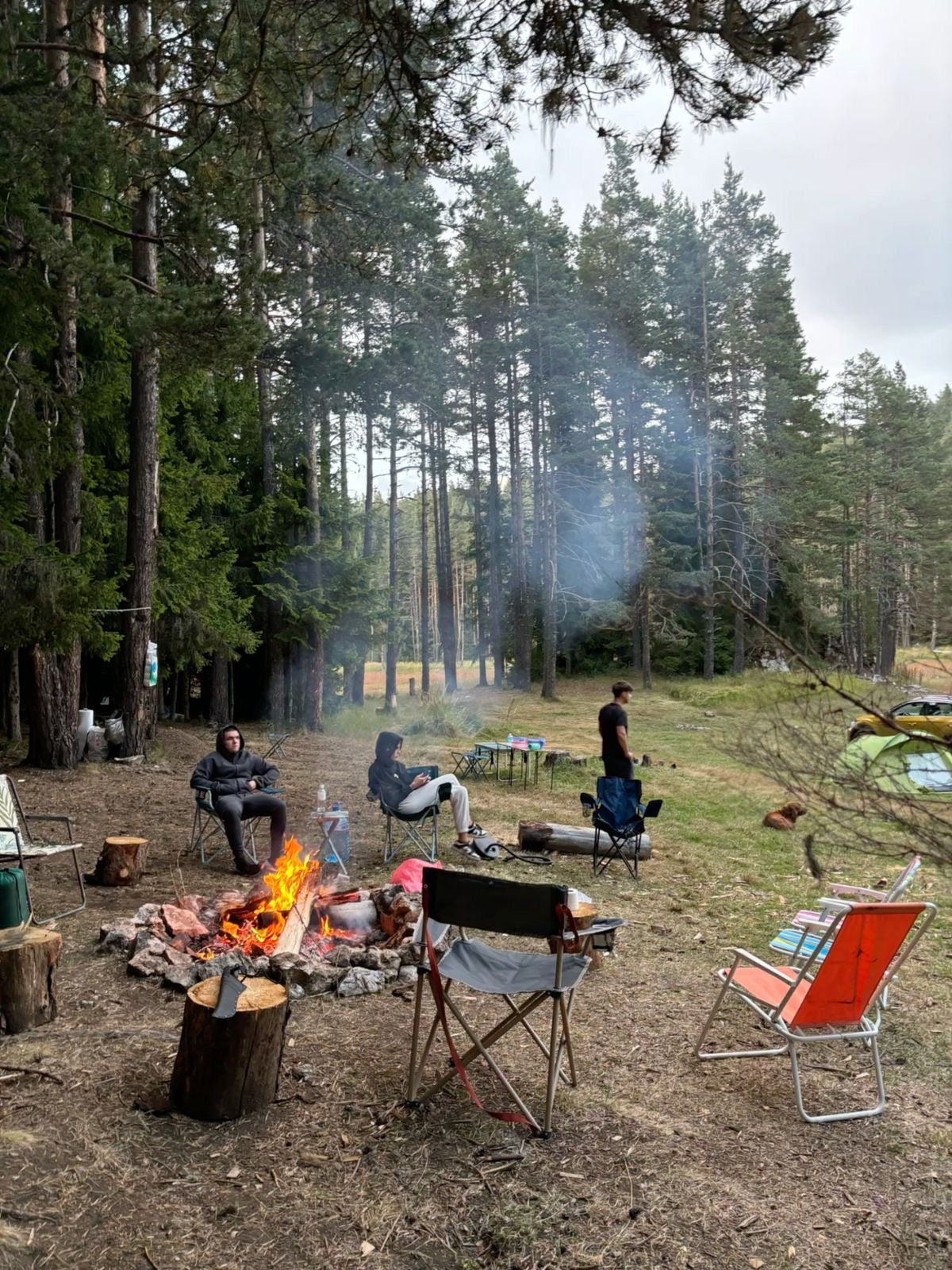 The Modern Camp Setup: What You Actually Need
